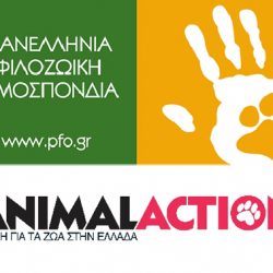 Κοινό Δελτίο Τύπου Πανελλήνιας Φιλοζωικής Ομοσπονδίας & Animal Action
