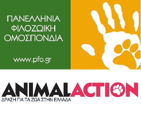 Κοινό Δελτίο Τύπου Πανελλήνιας Φιλοζωικής Ομοσπονδίας & Animal Action
